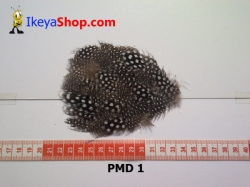 bulu PAD motif PMD 1 - feather large.jpg